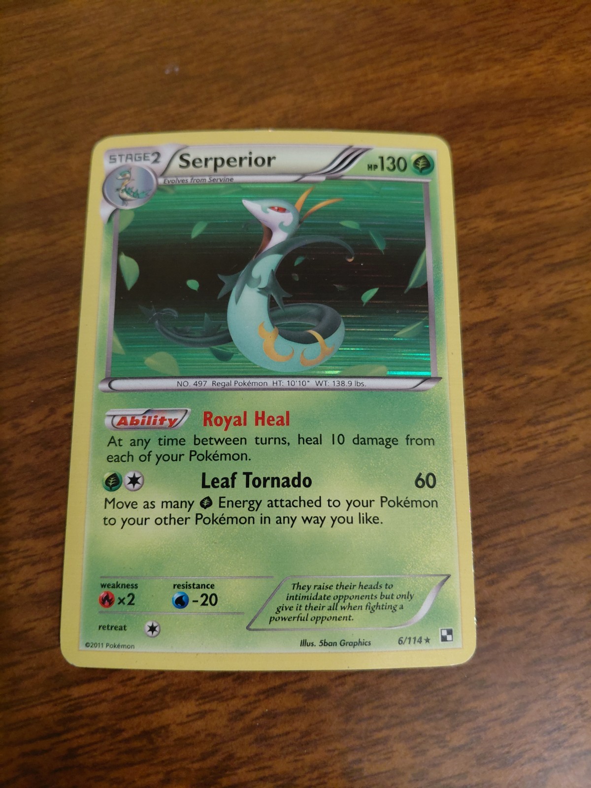 Pokémon TCG Serperior 5/114 Black & White Base Set Holo Rare NM 2011 NICE LOOK!!