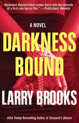 Larry Brooks Darkness Bound (Taschenbuch)