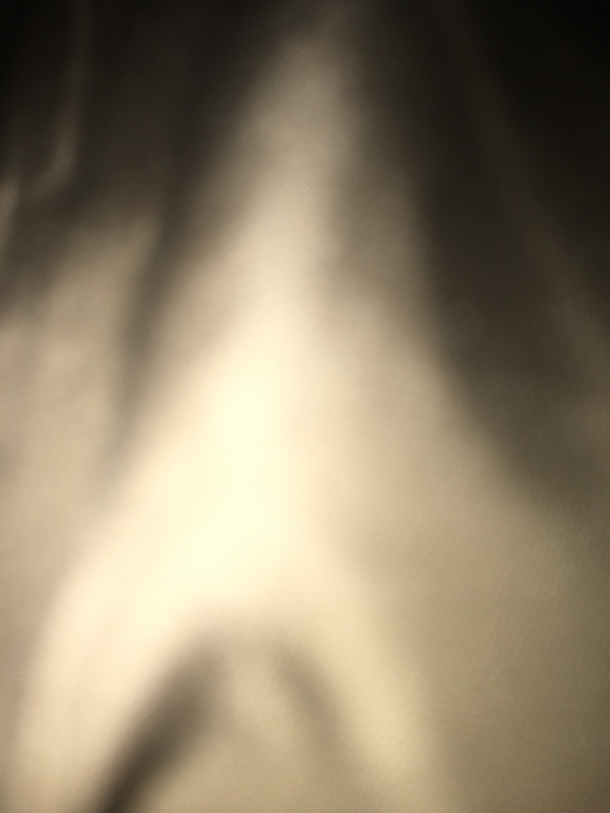 small jacket handsome - image 1