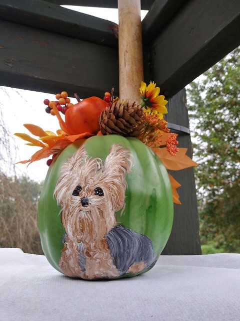 hill's science diet walmart