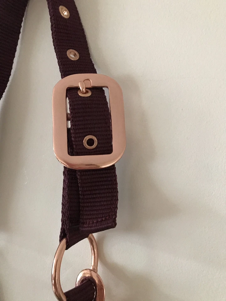 Headcollar and Lead Rope Set, Rose Gold & Burgundy, COB, FREE UK Postage - Image 3 of 4