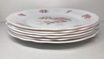 6 ASSIETTES plates 340223 FRUITS DE FRANCE ARCOPAL Blanc Faïence Floral,Végétal
