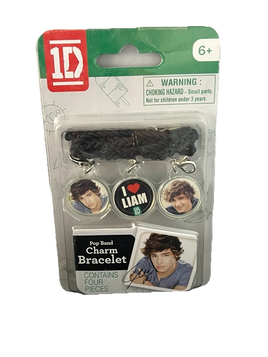 NEW* ONE DIRECTION 1D KEYCHAIN KEY RING BAND PHOTO &amp; LOGO OFFICIAL PRODUCT NEW E