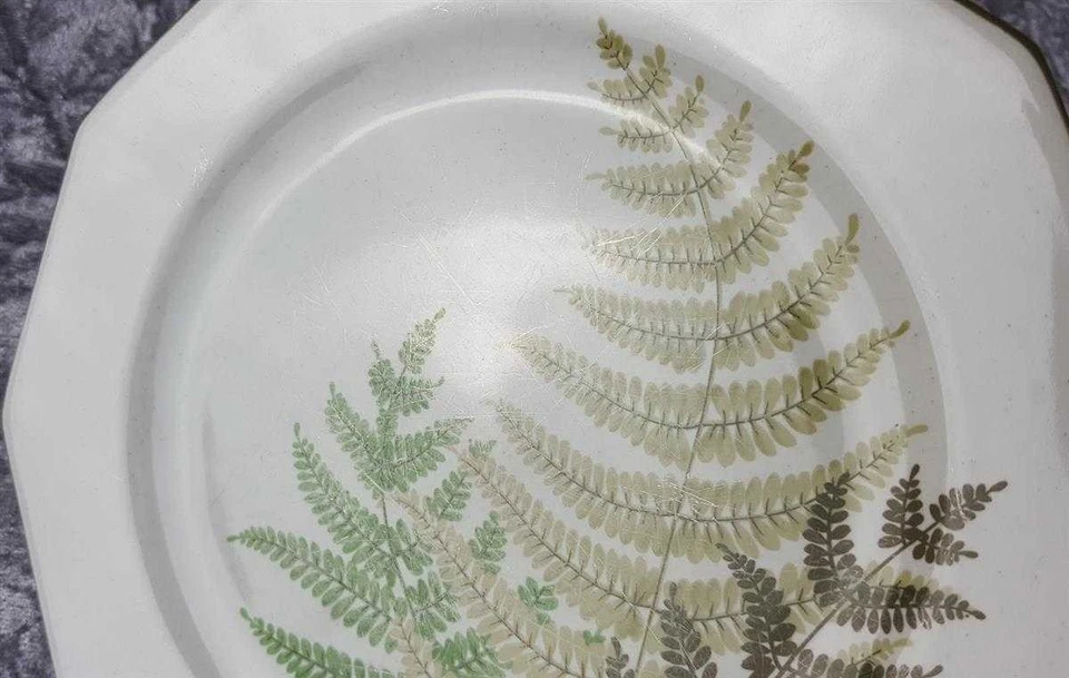 6er Set Kuchenteller Dessertteller Frühstücksteller Winterling Kirchenlamitz Far - Bild 4 von 4