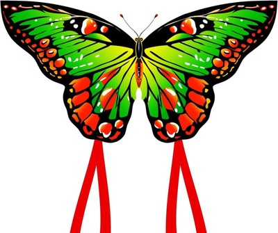 Schmetterling Drachen Butterfly Kite 120x95cm Green Long Tails