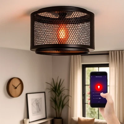 Deckenlampe Deckenleuchte Küchenlampe Smart LED Dimmer Tageslicht Alexa Google - Bild 1 von 4