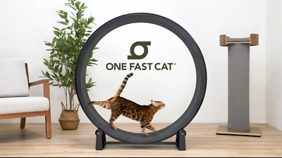 One Fast Cat Exercise Wheel - Gen 7 - 48