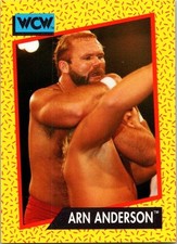 1991 Impel WCW Arn Anderson #53