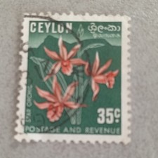 Ceylon timbre 35c fleurs orchidées oblitéré cachet à la main