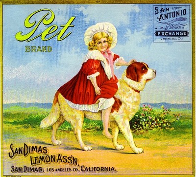San Dimas Pet Saint Bernard Puppy Dog 3 Orange Citrus Crate Label Art Print