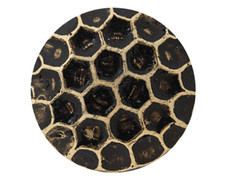 1000 QTY:Osborne 6910-BL -Honey Comb Bronze Lacquered Nail post:1/2" head:7/16"