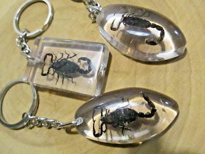 Black Scorpion Keychains Zipper Pull Backpack Hoodie Purse - I Pick One Randomly