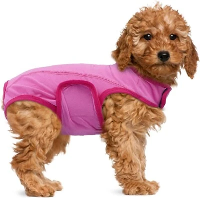 MHAUSTLIE Tuta per il recupero post operatorio cane per prevenire leccarsi (M)