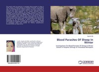 Blood Parasites Of Sheep In Winter Ayesha Zia