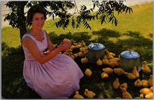 Las Cruces, New Mexico Postcard STAHMANN FARMS "World's Largest Pecan Grove"