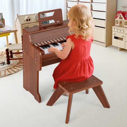 Educational Music Instrument
