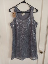 Beautiful Sequins Dress