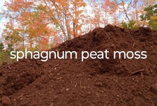 1 gal Sphagnum Peat Moss Straight from Bog natural carnivorous plant medium