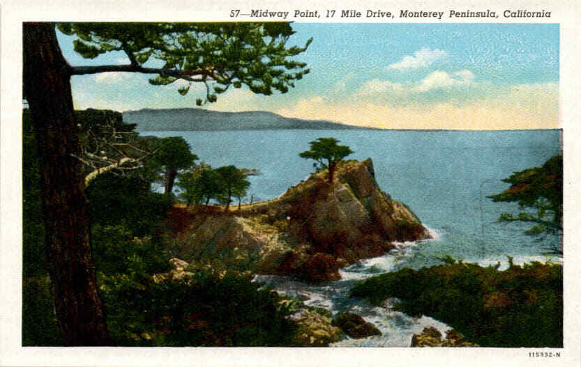 Midway Point, 17 Mile Drive, Monterey Peninsula, California, B. W. Postcard