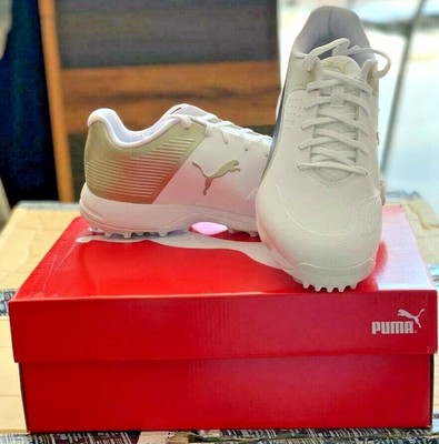 puma gold cricket shoes