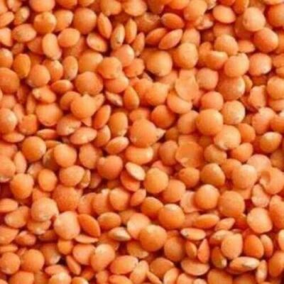 RED LENTILS BEANS