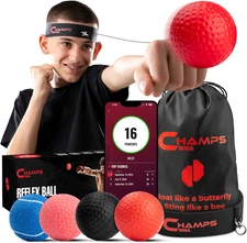 Champs MMA Boxing Reflex Ball Set with Punch Counter App | 4 Balls with Varying 
