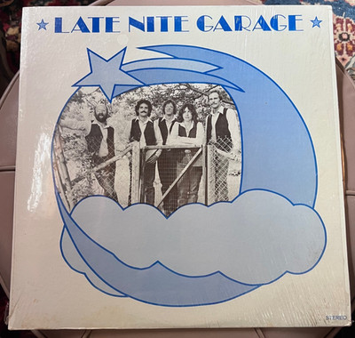 Late Nite Garage-1979 BMA Records LP #139-Folk-In Shrink-New Jersey