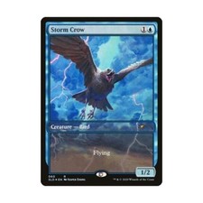 WOTC MtG Magic the Gathering Storm Crow (R) (Foil) NM