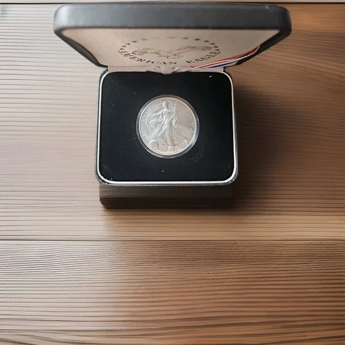 AMERICAN EAGLE SILVER BULLION COIN DATED 2004 WITH CERTIFICATE & CASE