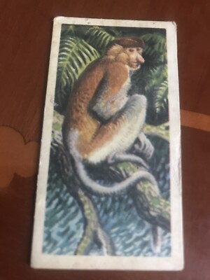 Asian Wildlife.   Brooke Bond Tea Card.  Number 4 