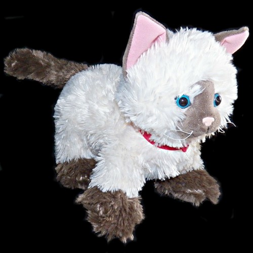 Build A Bear Siamese Himalayan Ragdoll 