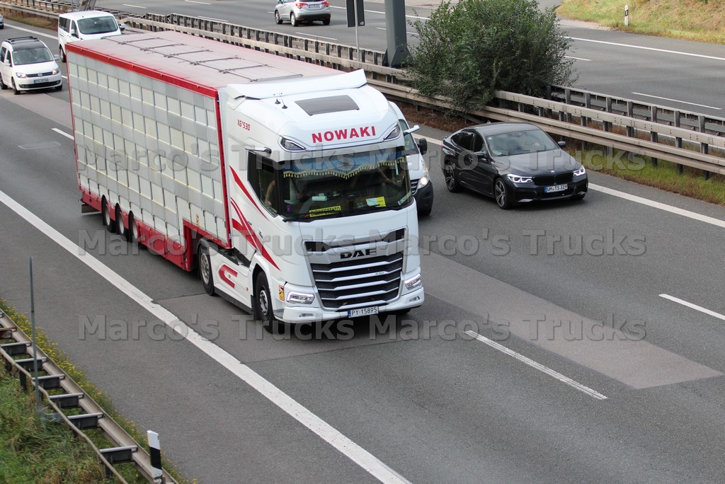 LKW Foto DAF XF 530 Viehtransporter Polen weiß NOWAKI #l8ms