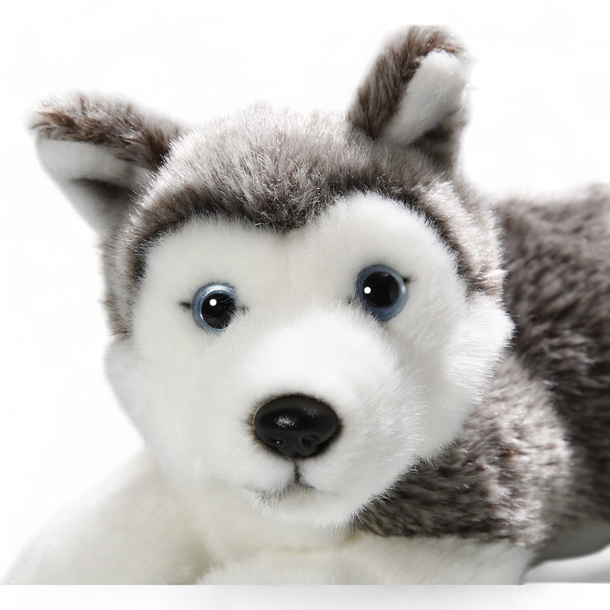 Carl Dick Husky Dog lying, Stuffed Animal, Plush Toy | eBay