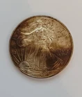 U.S. Mint 2008 1 oz American Silver Eagle with Antique Toning!