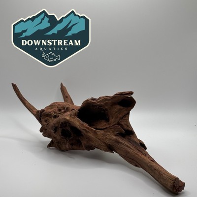 Large Natural Driftwood Hardscape - Aquascape Decor For Aquarium - 11  x 5  x 3 