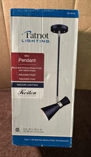 Patriot lighting mini pendant indoor lighting Black Brass 60 Watt New 351-9155