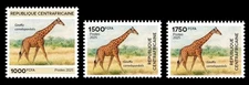 CENTRAL AFRICAN 2025 SET 3V - AFRICAN WILDLIFE - GIRAFFE GIRAFFES GIRAFES - MNH