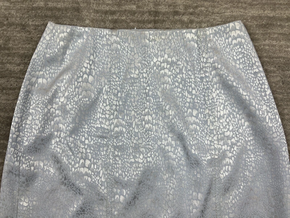 Falda deportiva Cache Alberto Makali para mujer 4 azul plata cremallera lápiz cierre EE. UU. Foto 2 de 4