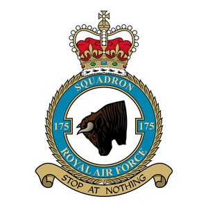 No. 175 Squadron RAF badge patch Self Adhesive Vinyl Sticker