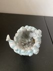 Picture 4 of 8
