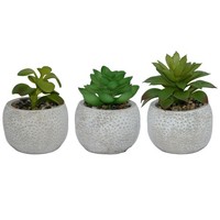 Unus® Kunstpflanzen In BetontöPfen 3Er Set KüNstliche Sukkulanten Mit TöPfen