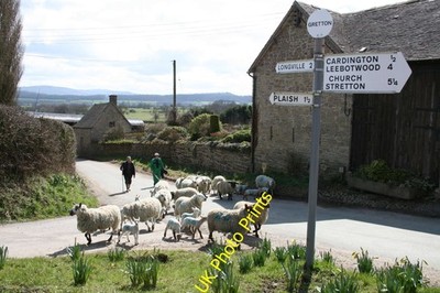 Photo A2 Rush Hour, Gretton Gretton/SO5195 A first look out for the new c2010