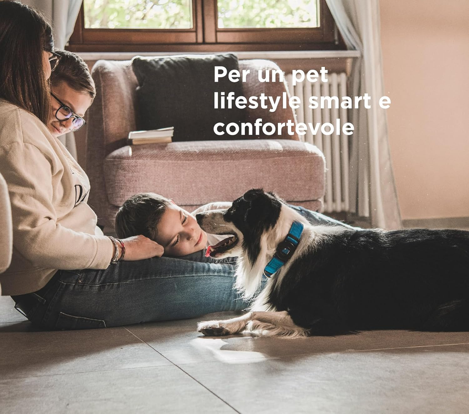 Collare Per Cani Robusto,Regolabili E Spessi Per Trazione Canina Con Collare Per Cani Robusto,Regolabili E Spessi Per Trazione Canina Con