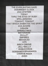 Setlist + Pass  Sheet - Smashing Pumpkins  World Tour 2024 Rotterdam