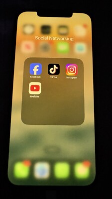 iphone 12 pro max TikTok