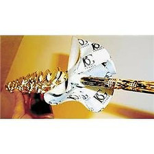 BG Products BGA32HRS BG A32 HRS Cleaning Swab...