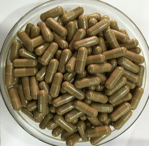 Polypodium Leucotomos 20:1 with Green Tea Pine Bark Aloe Vera Pomegranate - 第 1/4 張圖片