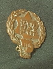 Judaica Israel Palestine Old Pin Sports Ribbon