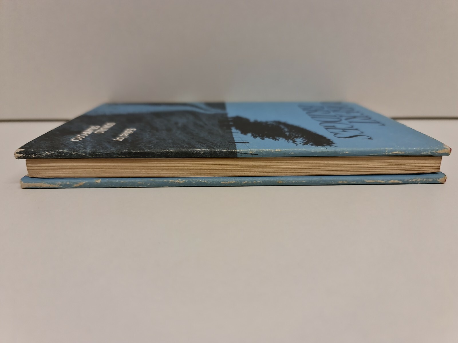 Picture 5 of 10