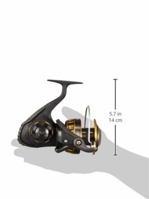 Daiwa 16 BG 5000H Fishing REEL From JAPAN | eBay